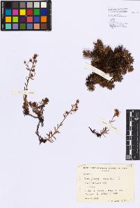 SW_BNB_s3080-06288_IMG-0000000001