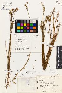 SW_BNB_s3080-06295_IMG-0000000001