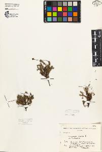 SW_BNB_s3080-06299_IMG-0000000001