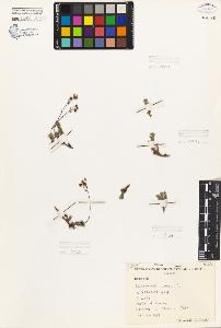 SW_BNB_s3080-06305_IMG-0000000001