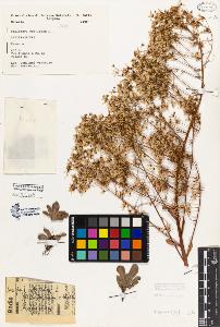 SW_BNB_s3080-06310_IMG-0000000001