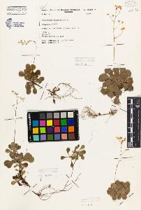 SW_BNB_s3080-06313_IMG-0000000001