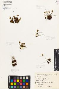 SW_BNB_s3080-06314_IMG-0000000001