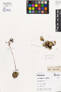 SW_BNB_s3080-06327_IMG-0000000001