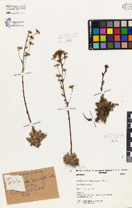 SW_BNB_s3080-06329_IMG-0000000001