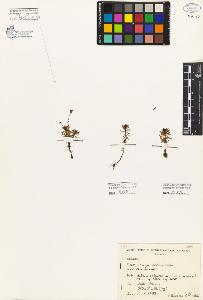 SW_BNB_s3080-06350_IMG-0000000001