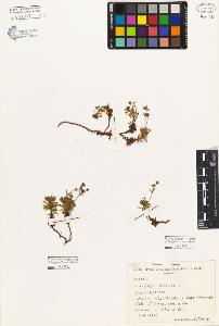 SW_BNB_s3080-06353_IMG-0000000001