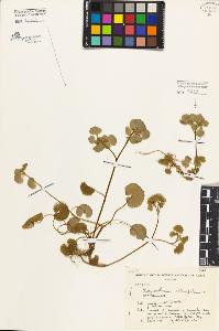 SW_BNB_s3080-06365_IMG-0000000001