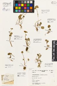SW_BNB_s3080-06371_IMG-0000000001