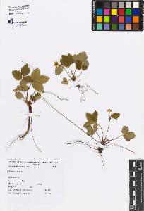 SW_BNB_s3080-06373_IMG-0000000001