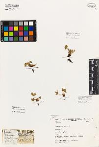 SW_BNB_s3080-06388_IMG-0000000001