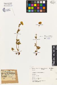 SW_BNB_s3080-06406_IMG-0000000001