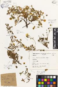 SW_BNB_s3080-06417_IMG-0000000001