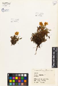 SW_BNB_s3080-06421_IMG-0000000001