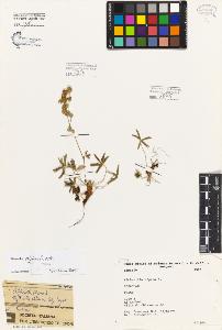 SW_BNB_s3080-06431_IMG-0000000001