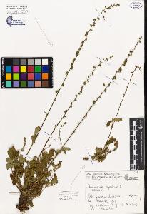 SW_BNB_s3080-06457_IMG-0000000001