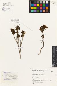 SW_BNB_s3080-06468_IMG-0000000001