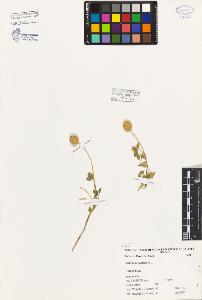 SW_BNB_s3080-06496_IMG-0000000001