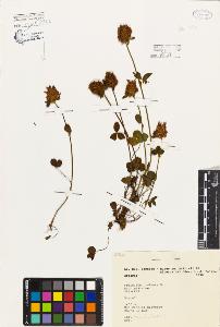 SW_BNB_s3080-06516_IMG-0000000001