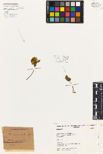 SW_BNB_s3080-06517_IMG-0000000001