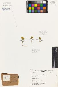 SW_BNB_s3080-06537_IMG-0000000001