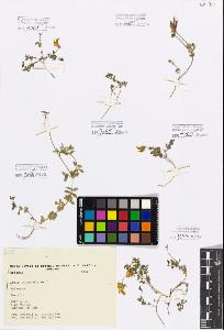 SW_BNB_s3080-06542_IMG-0000000001