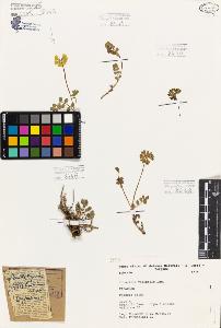 SW_BNB_s3080-06579_IMG-0000000001