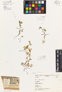 SW_BNB_s3080-06587_IMG-0000000001