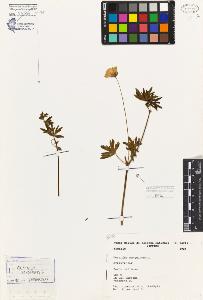 SW_BNB_s3080-06599_IMG-0000000001