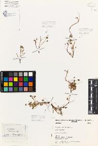 SW_BNB_s3080-06611_IMG-0000000001
