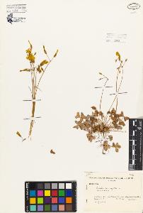 SW_BNB_s3080-06625_IMG-0000000001