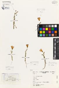 SW_BNB_s3080-06627_IMG-0000000001