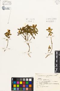 SW_BNB_s3080-06657_IMG-0000000001