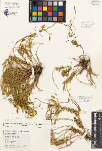SW_BNB_s3080-06669_IMG-0000000001
