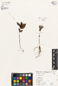 SW_BNB_s3080-06682_IMG-0000000001