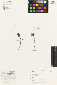 SW_BNB_s3080-06686_IMG-0000000001