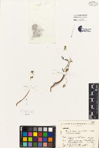 SW_BNB_s3080-06721_IMG-0000000001