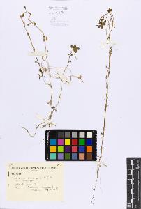 SW_BNB_s3080-06722_IMG-0000000001
