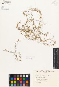 SW_BNB_s3080-06729_IMG-0000000001