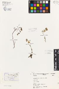 SW_BNB_s3080-06748_IMG-0000000001