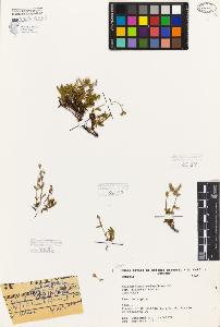 SW_BNB_s3080-06754_IMG-0000000001