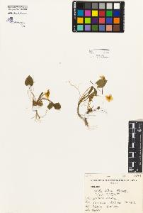 SW_BNB_s3080-06757_IMG-0000000001
