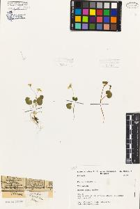 SW_BNB_s3080-06772_IMG-0000000001