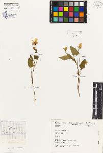 SW_BNB_s3080-06776_IMG-0000000001