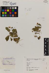 SW_BNB_s3080-06806_IMG-0000000001