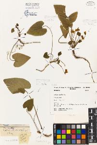 SW_BNB_s3080-06810_IMG-0000000001