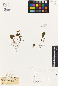 SW_BNB_s3080-06811_IMG-0000000001