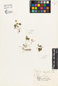 SW_BNB_s3080-06816_IMG-0000000001