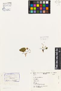 SW_BNB_s3080-06817_IMG-0000000001