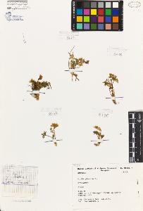 SW_BNB_s3080-06829_IMG-0000000001